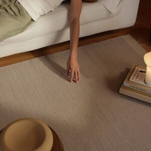 Fable Home Beige Rug 4x6